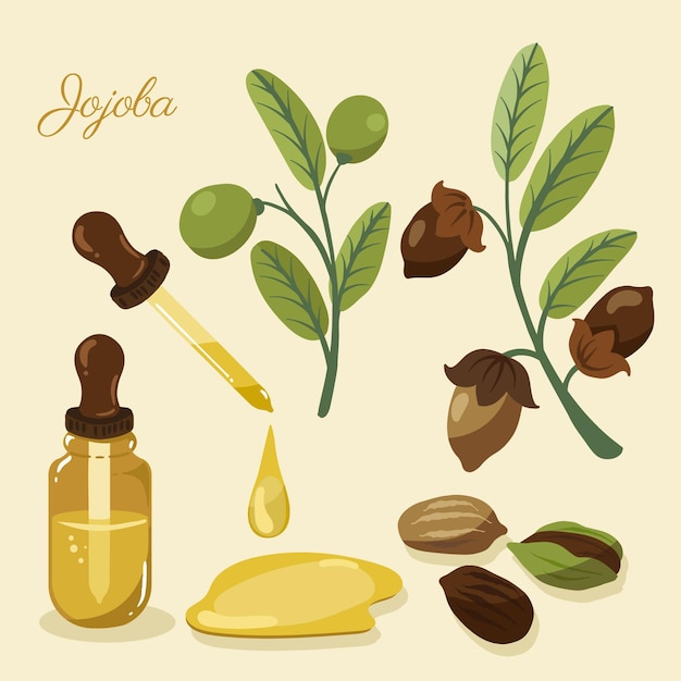 11 Compelling Benefits of Applying Argan Oil to Your Face