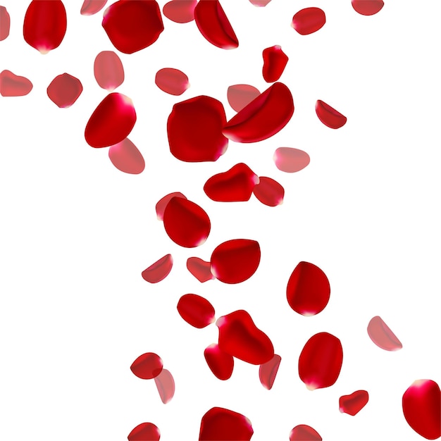 11 Ingenious Uses for Rose Petals You Simply Must Experience