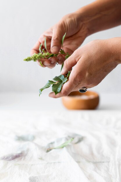 20 Surprising and Creative Uses for Rosemary Beyond the Kitchen