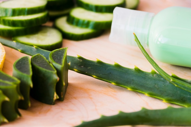 9 Benefits of Applying Aloe Vera to Your Face, Skin & Hair + 20 Must-Try Recipes