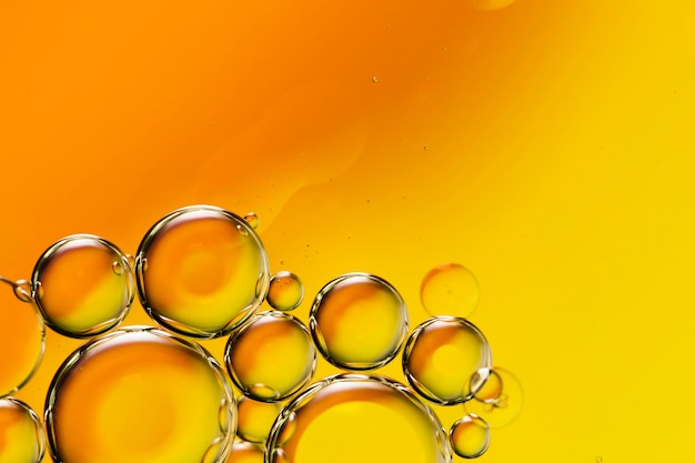 Carrier Oils: Top 21 Choices for Skin, Hair, and Essential Oil Blends