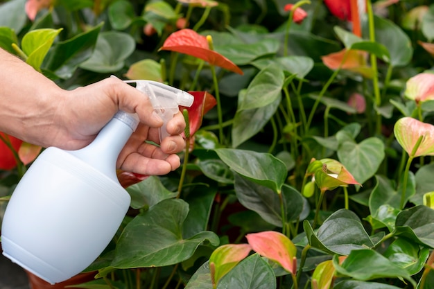 Crafting Your Own Garlic and Hot Pepper Spray for Garden Pests