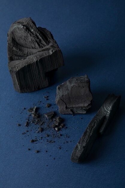 “Heighten Your Beauty Routine with Activated Charcoal: 9 Benefits and 17 Practical Applications”