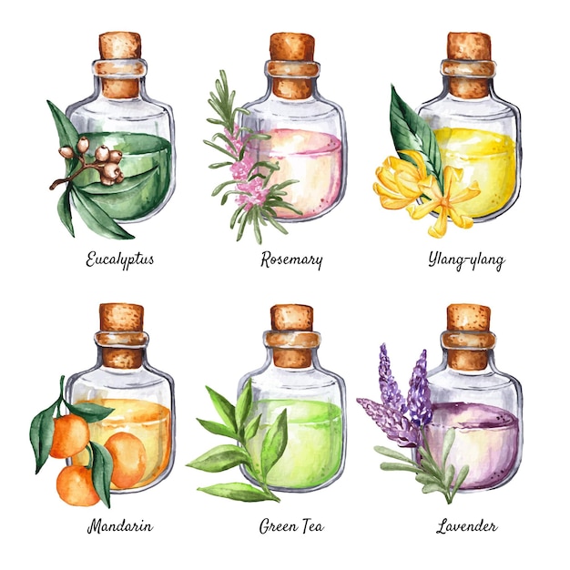 10 Aromatic Oil Combinations to Infuse Your Home with Autumn Scents