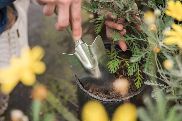 Mastering the Art of Year-Round Herb Harvesting and Preservation: 11 Expert Tips