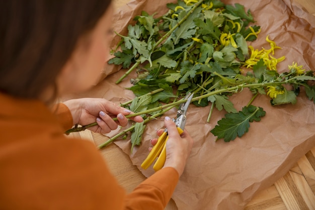 11 Insider Tips for Harvesting and Preserving Herbs for Year-Round Use